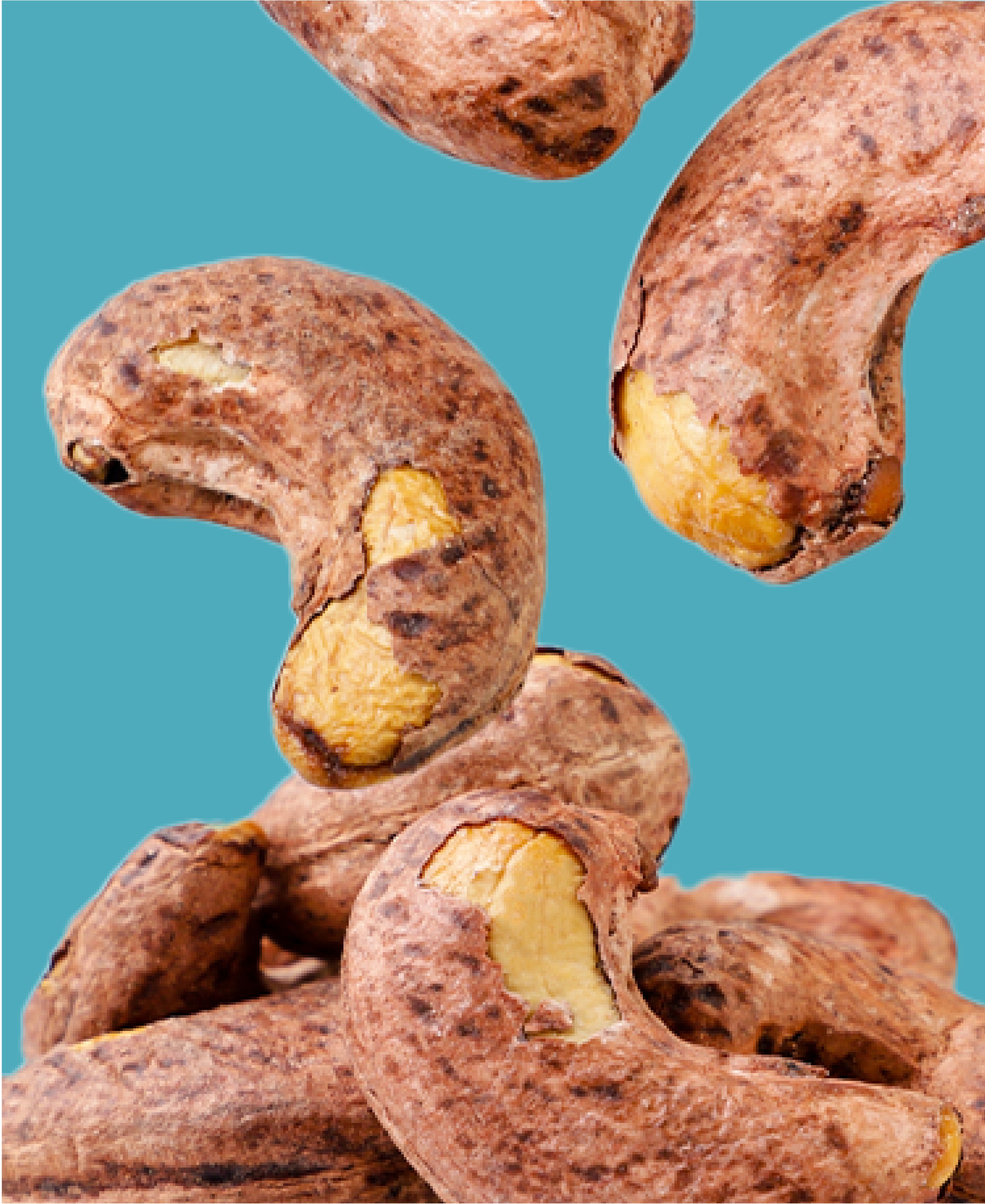 Unpeeled Cashew Nuts